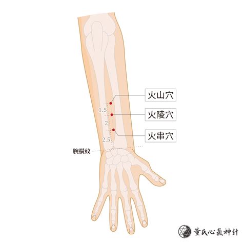 火串穴|董氏奇穴针灸：火山、火陵 l 火串穴【穴位讲解】